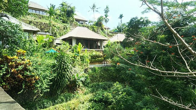 見上げるとヴィラが連なっています。<br />本当に広大だわ～