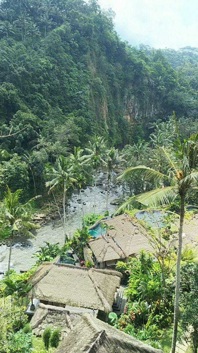 川の近くのヴィラも迫力ありそうですね