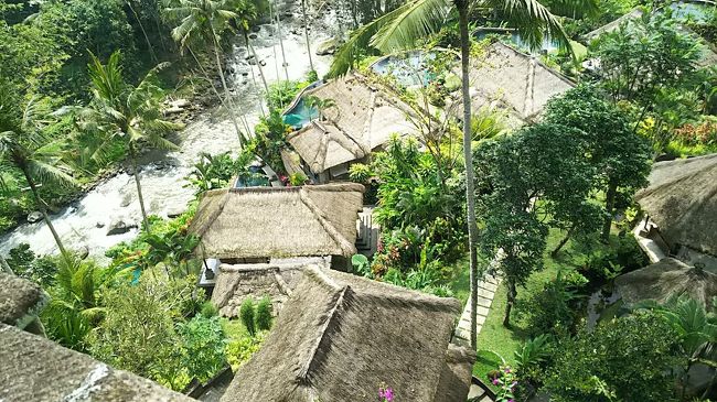 でもここは・・基本的には階段かエレベータだからカート移動はできないのか。メインエリアから遠いと疲れそうだな