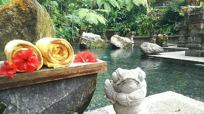 カエルちゃんがいちいちかわいい