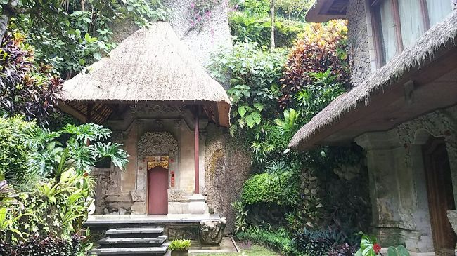 エレベータも何か所かで見ました。迷いそう・・