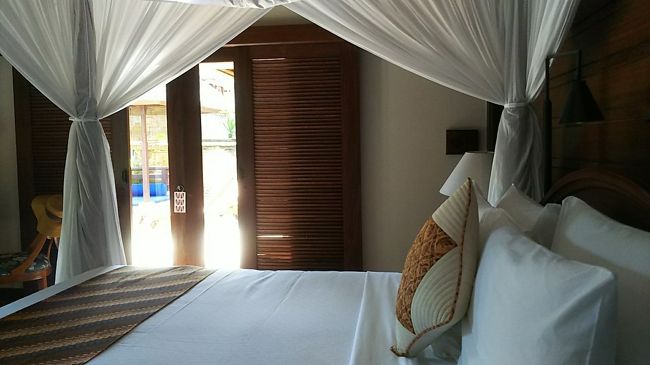 窓に虫コナーズ(笑)これは効いていたのかどうかわかりません・・