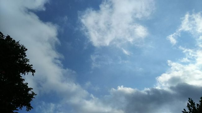 ディナーは今回の旅行でもっとも楽しみにしてたフレンチ「mozaic」で。ウブド旅行の日程を決めてすぐに予約を入れました（3週間前くらい？）<br />ここは、当日16時までにリコンファームが必要なんですよね。<br />予約確定のメールに、何故リコンファームが必要なのか・またそれをしてもらうようになった訳などが丁寧に書いてありました。現地でネットにつながる環境にある場合は、電話などをしなくても前日に「明日予定通りお見えになれますか？」との旨のメールが来ますよ～<br /><br />ドレスコードはカジュアルですが、アジア人客はほぼいないみたいだし…まぁそこそこ気を使ったスタイルを用意してきました♪<br />そろそろ着替えておでかけ～～～（テンションあがってる<br /><br />5日目その3へつづきます