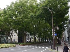 しばらくフラットな道を進んで、
（途中難敵の歩道橋はありましたが）
定禅寺通りにつきました。
ちょうど仙台光のページェントの端。