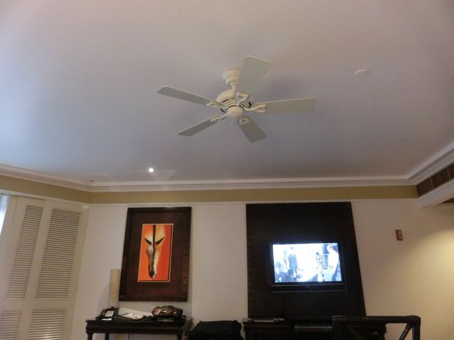 これがあると、弱めのエアコンでも結構涼しくて助かります。