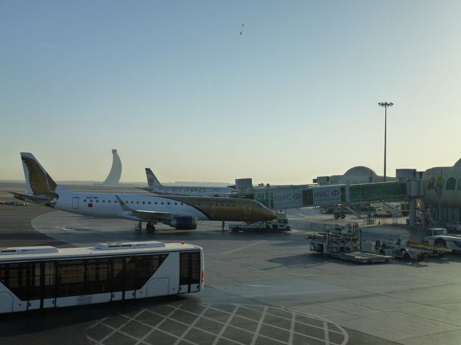 いろんな飛行機が停まっています。