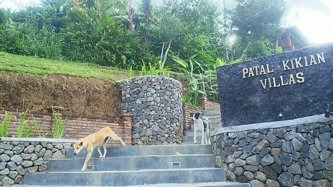 6日目その1からのつづきです<br /><br />Ibu Akikoさんのところから車で20分くらい・・舗装されてない山道を進んで行くと到着しましたパタル・キキアン<br /><br />「Pondok Wisata Patal Kikian」<br /><br />最近オーナーが変わったらしく、ヴィラは改装中でもうすぐオープンとの事でした。ランチだけならとお邪魔させてもらいました。<br />でもこの時すでに16時半くらい。お腹グルグル鳴ってました(笑)朝ごはん遅くしておいて良かったです(^_^;)