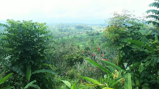 敷地内は階段が多いですが、ちょっと上るとこんな景色が目の前に広がります。とても静かで・・秘境みたい。絵画みたいな絶景が広がっています。