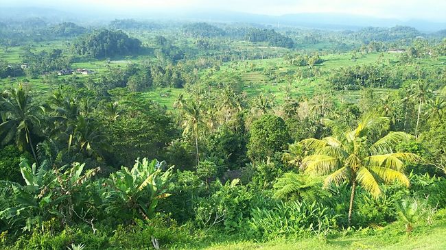 絵画みたいな風景と静寂