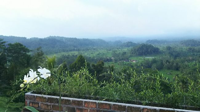 すこし会話すると、こちらがまだ食事を終えてないのを見て「あっ、邪魔してゴメン…ゆっくり食べて～」となんだかとても腰の低い彼でした^m^　いろいろ控え目なの。。もしかして日本人が珍しかったのかな(笑)