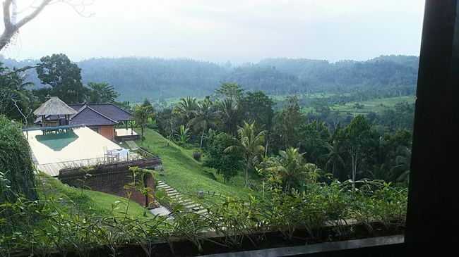食事を終えると、向こうの方でスタッフの人と談笑していたガイドさんがやってきてここの新しいオーナーを紹介してくれました。なんと、ガイドさんとオーナーさんは同郷の友人なんですって～びっくり。<br /><br />オーナーさんが言うには、ミック・ジャガーだけじゃなくて他にもいろんな有名人が来たことがあるらしい。メガワティ大統領もお忍びで来たことがあるとか。<br /><br />わたし達とガイドさん、オーナーさんの4人でおしゃべりしていると先ほどのスタッフの彼が「あ…あ、では私はこれで。。」とおずおずと下がろうとします。あくまでも控え目な彼なのでした^m^<br />