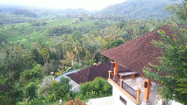 オーナーさんが、ヴィラの中を見せてくれると言うので喜んで見せてもらいました。ヴィラは３つですが、そのうち2つはコネクティングされているそうです。<br /><br />食事したプールサイドからまた階段を上がります。<br />この写真、下に見える屋根＆プールはヴィラのものではなくフランス人の別荘なんだとか。いいな～♪