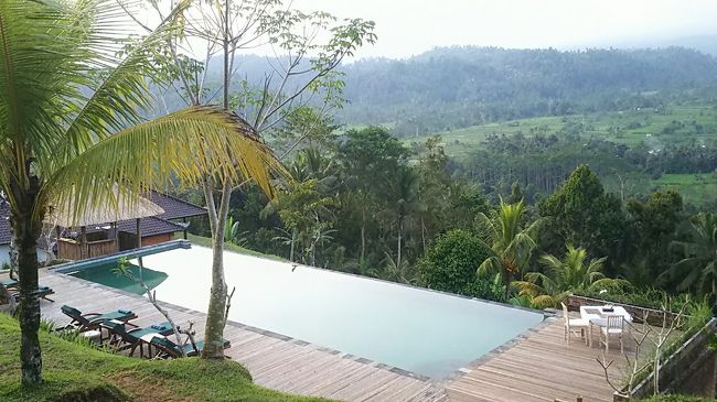 さっき電話して「今から行きます」と言ってあったワケですが、プールサイドにテーブルが出してあり・・こんな素敵なダイニングをセッティングしてくださいました♪