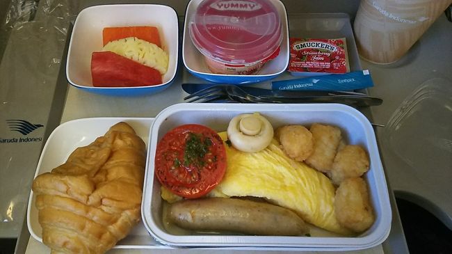 機内食（朝ごはん）はこんな感じ～<br />食べられない…と思いましたが意外に完食(笑)<br />娘は食べないでひたすら寝てた。<br /><br />定刻通りに成田へ到着し、Wi-Fiを忘れずにポストに返却してスーツケースをタダで自宅へ送る手配をし（カード優待）成田エクスプレスで自宅へ帰りました～<br /><br />あ～　終わっちゃった。楽しかったなぁ～～～