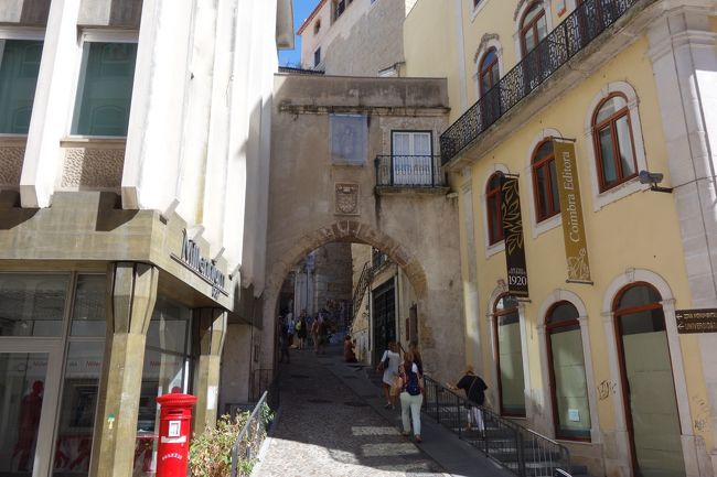 いかにも登ってみたくなる坂道です。