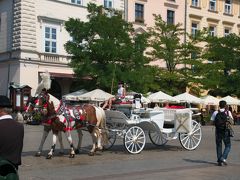 ヨーロッパの旧市街には馬車が多いが、クラクフの馬車はとても派手。
おとぎ話に出てくるような馬車