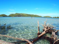 「リオデジャネイロの日本人の島 Ilha do Japonês」

島の裏側まで来てみます....。