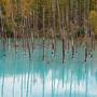 2017年10月  秋の北海道  ～ 青い池と白ひげの滝、東川町「ニセウコロコロ」、紅葉の層雲峡と日帰り温泉