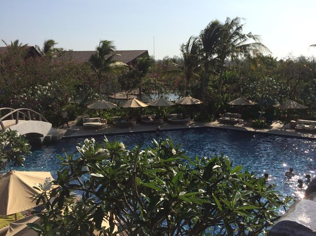 一度、リンバに戻って、プールに泳ぎに行くことに！<br />アヤナもリンバもプールが大きく数も多いので、飽きないですね！