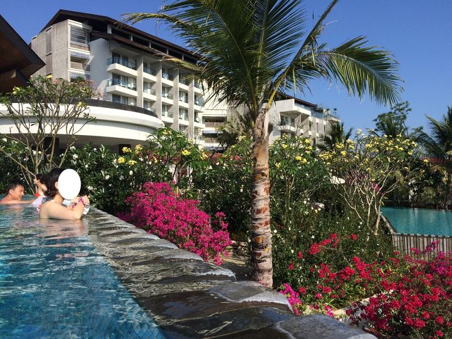 インフィニティプール<br />どこもかしこもインフィニティになってましたね。