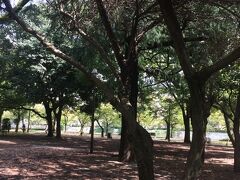 平和記念公園