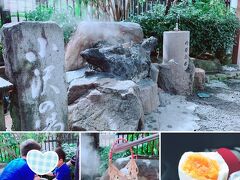 熱海駅で弟家族をピックアップして、まずは温泉蒸し玉子を作ります
すごく美味しくできました