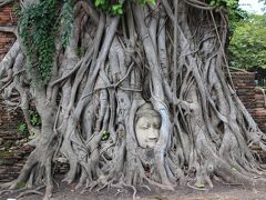 アユタヤ遺跡
ワット プラ マハタート→アユタヤ遺跡を代表する、菩提樹の根に覆われた仏頭で・・近くで見たら、やっぱり神秘的でした。
