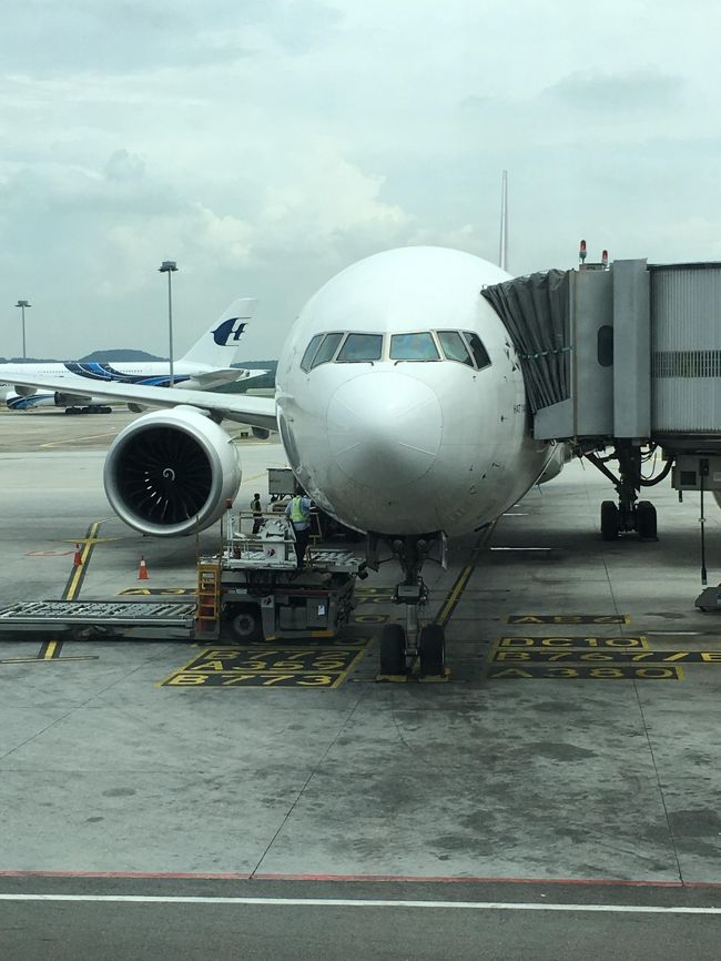 Thai airways Boeing 777-300ER.<br />駐機している場所には、色々な機種モデルがしるしてあるんですね。<br />今回はタイ航空を利用、LCCと違って快適です。<br />子供達もTV見てくれているから、親は楽ちん。