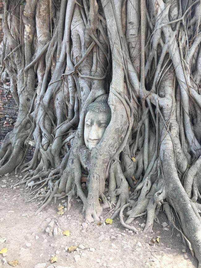 お決まりですね。