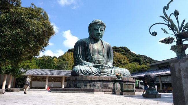 はじめまして、大仏さまー！