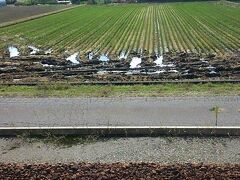 乗車約二時間半。
黒部宇奈月温泉駅で新幹線を降り、道路挟んで真ん前にある「新黒部駅」から富山地方鉄道に乗り換えて宇奈月温泉駅へ向かう。
待合室の小さなカウンターで職員さんから乗車券を購入。

単線ですね。
ホームから向こうの道路へ降りられちゃう。
