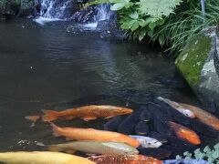 ラウンジ「オーキッド」前の池。