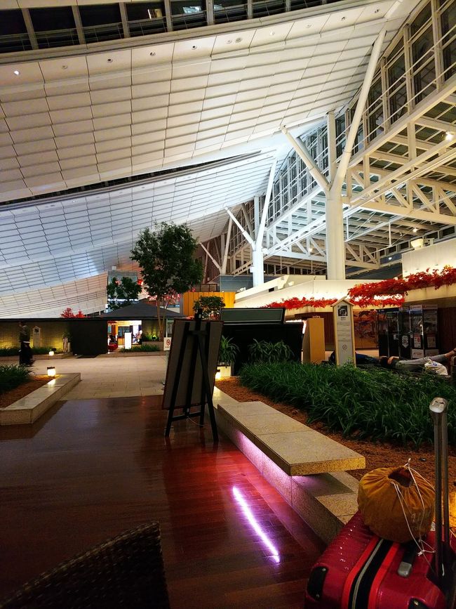 タイガーエアー IT217便 羽田5:30- 桃園8:10<br /><br />タイガーエアーの出発時間は5:30なので、今回は終電で羽田に向かうことにしました。<br />ところが、家にケータイを忘れた娘。タクシー代を出すから家に取りに戻りたいと…(^_^;)<br />片道分の飛行機代とほぼ同じ金額で羽田に到着！<br />荷物を持っての乗り換えがなかった分、母的には楽ちんでした♪←ｦｲ<br />