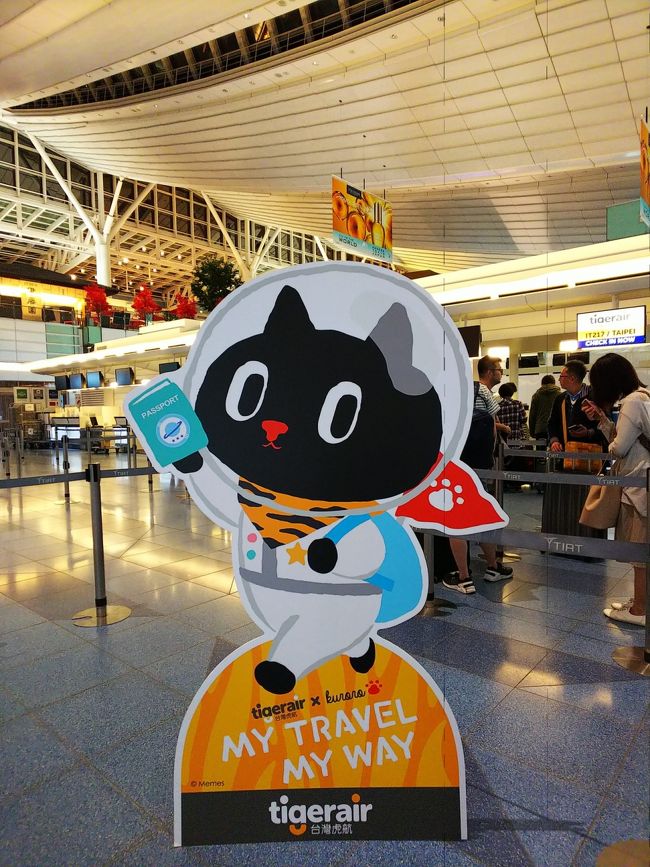 タイガーエアーは、今年7月から台湾のKuroroというキャラクターと提携したようです。<br />コンセプトは、宇宙ネコ←トラじゃないの！？<br />でも、可愛いから許す（笑）