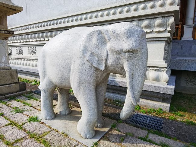 狛犬ならぬ狛象がお出迎え。