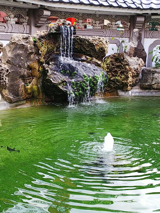 ε-(´･ε･̥ˋ๑)涼し気に見えるけど、ヤッパ蒸し暑ーい！　すでに化粧は落ち、酷い事になってます（笑）