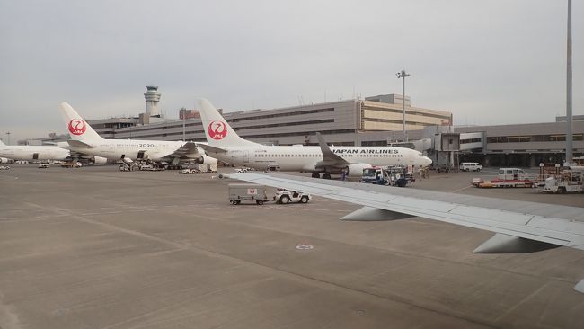 旅の始まりはいつもの早朝の羽田