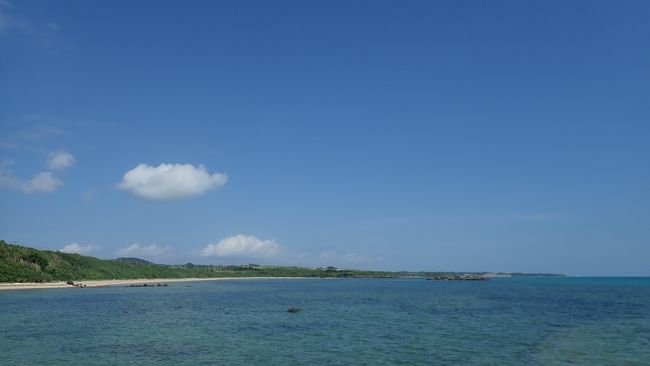 いつ見ても癒されます