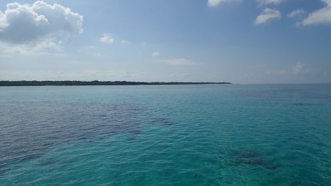 2日目<br />今日は1日シュノーケリング<br />海の中を散策します