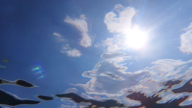 昼からはちょっと深めのポイントに移動して<br />大物を捜しましたが今回は観られず<br />次回再チャレンジです