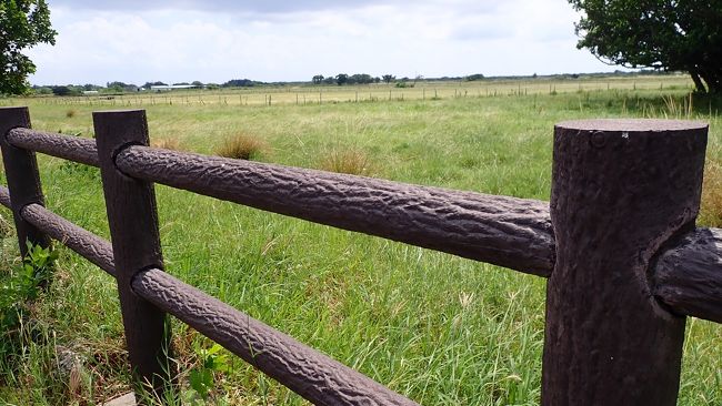 のんびりバイクで散策します