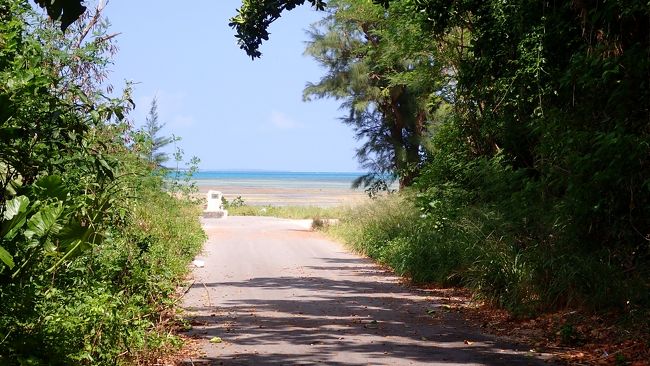 集落からちょっと北へ進むと伊古桟橋の入り口があります<br />木々に覆われた道をゆくと