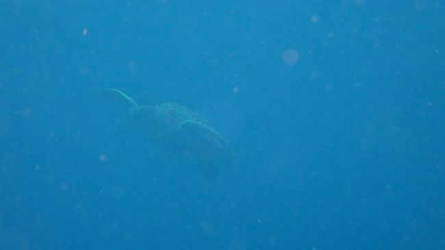 一生懸命追いかけていくと