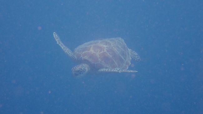 なんか「いい写真撮ってくれよ」と言っているように感じました