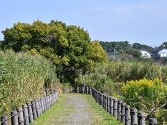 茂林寺裏からザ・トレジャーガーデンに通ずる茂林寺沼