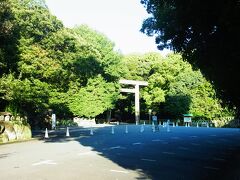 あ！見えてきた。