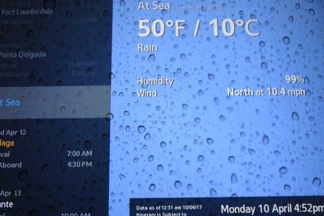 今日は、10度です。