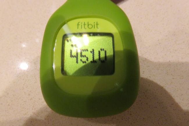 今日の歩数は、4510歩です。