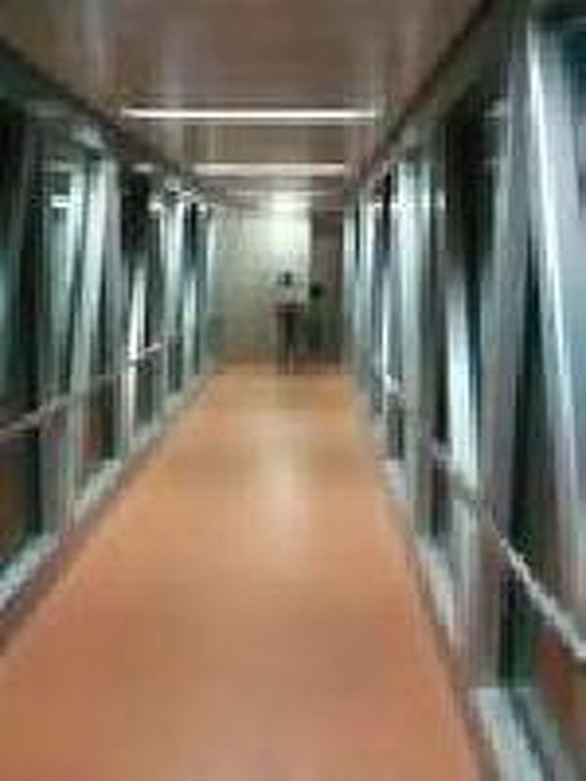 [２０１４/８/９]<br /><br />飛行機はバリ島のグラライ国際空港に02：29に到着。　　　　　　　　(注意：クアラルンプールとデンパサールは時差はなし。)<br /><br />あ～疲れた。前回はタラップで飛行機を下り、歩いてターミナルへ行ったので今回もと思っていたら、飛行機はブリッジでターミナルと結ばれていた。後で調べたら、2013年9月19日に新国際線ターミナルが開業されたとのことです。