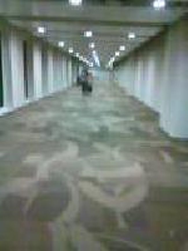 [２０１４/８/９]<br /><br />長い通路を歩いて行くと